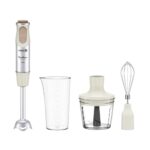 בלנדר מוט MOULINEX DD655A10